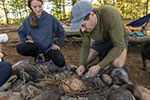 Image description